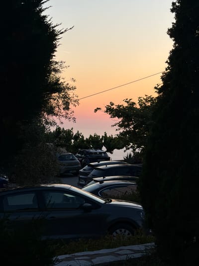 The image presents a view through trees towards a sky with a gradient of light colors, suggestive of sunrise or sunset. A power line is visible against the sky. Parked cars are visible in a row, partially obscured by the surrounding vegetation. The location is possibly the Municipal Unit of Lefkada, Greece. The environment appears to be a residential area with cars parked along the road.