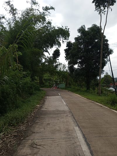 The image displays a concrete road in Ariyalai, Sri Lanka, ascending and curving to the right under an overcast sky. The left side of the road is densely bordered by lush green vegetation, including tall bamboo and various leafy plants, with some dried leaves visible at the road's edge. A white painted line separates a narrower concrete path or shoulder on the immediate left from the main roadway. On the right side, the road is flanked by grass and scattered trees, with utility poles supporting overhead wires extending into the distance. In the mid-ground, near the curve, a small, light-green structure is visible beside a significant accumulation of waste, including distinct red-orange plastic bags. Beyond this, partially obscured structures with light-colored roofs can be seen on the right. No individuals, animals, or active interactions are present in the scene.