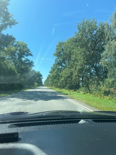 The image captures a view from inside a vehicle looking out at a rural road lined with lush green trees. The asphalt road extends into the distance, marked with double white lines. The sky is a clear, bright blue with faint wispy clouds. Sunlight filters through the leaves, casting shadows on the road. The foreground shows the dashboard and windshield of the vehicle. The scene suggests a serene drive through a wooded area, likely on a sunny day. The location is identified as Dmitrovsk-Orlovskiy, Russia.