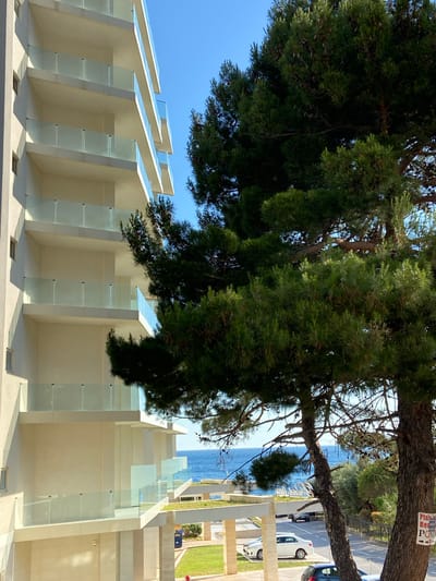 The image shows a building in Brežine, Montenegro. The architecture features white walls and glass panels. A large tree obscures part of the building and the sky. In the background, a road with cars and a glimpse of the sea are visible.