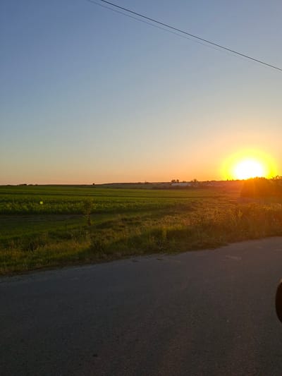 The image captures a rural scene at sunset in Hiliuți, Moldova. The sun, a bright, golden orb, is low on the horizon, casting a warm, orange glow across the sky and illuminating a field of green crops. The field stretches out, bordered by a line of trees and vegetation that are silhouetted against the vibrant sky. To the right of the field, a dark asphalt road is visible, reflecting some of the sunset's light. A thin, dark power line runs diagonally across the left side of the frame, cutting through the clear blue sky that transitions to a softer, orange hue near the horizon. The overall atmosphere is peaceful and serene, evoking the feeling of a quiet evening in the countryside. The time of day is clearly sunset, and the weather appears to be clear. There is no visible text in the image.