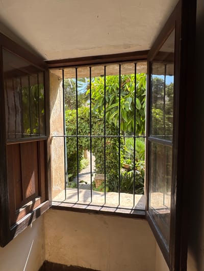 The image depicts a view through an open window in Palma de Mallorca, Spain. The window has dark wooden frames and is fitted with black metal bars. Sunlight streams through the window, casting distinct shadows on the interior walls, which are textured and a light cream color. To the left, a wooden shutter is partially closed, revealing its paneling.
The exterior view through the bars shows a lush garden. Large green leaves from trees are prominent, along with dense ivy climbing on a wall or structure. There are also other tropical-looking plants and foliage. A pathway or paved area is visible in the background, leading into the garden. The overall impression is one of a sunlit, tranquil courtyard or garden area viewed from inside a building. The architectural style suggests an older building, possibly a traditional Mallorcan home or hotel. There are no people visible in the image.