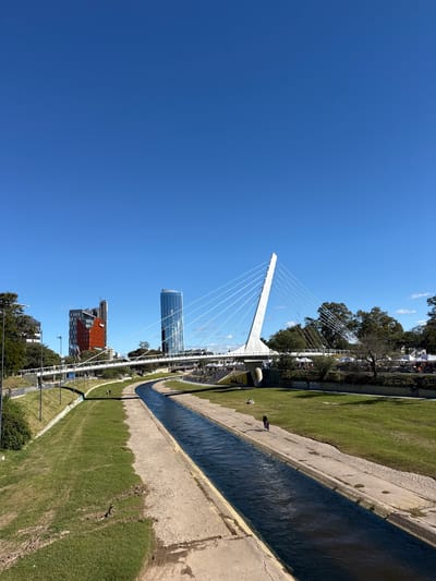The image shows a skewed, eye-level view of the city of Cordoba, Argentina, focusing on the cityscape and a portion of the La Cañada waterway. The clear, blue sky dominates the upper left of the frame. The Calatrava Bridge, a modern, white suspension bridge with numerous supporting cables, is a prominent feature, connecting across the La Cañada. Behind the bridge, several modern high-rise buildings are visible.
The La Cañada itself is a concrete-lined waterway that cuts through a grassy area. The water appears dark. Trees line the waterway. Along the waterway's edge, a couple is walking their dogs.