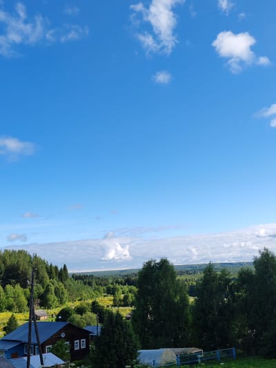 The image captures a rural landscape under a bright blue sky with scattered white clouds. In the foreground, several wooden houses are visible, including one with a dark brown facade and white-framed windows. A utility pole with wires stands to the left of the houses. Behind the houses, a dense forest of green trees stretches across the middle ground, with patches of yellow and white wildflowers in clearings. The background features rolling hills covered in more forest. A greenhouse structure with a blue fence is situated in the lower right corner. The scene depicts a village in Чухлэм, Russia, characterized by its natural environment and rural architecture. There are no people visible in the image.