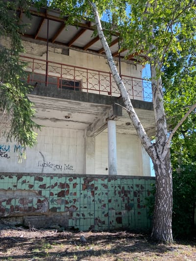 The image depicts an exterior view of a partially ruined building, possibly an abandoned structure, situated in Красномакское сельское поселение, Ukraine. The building features a concrete balcony with a rusted, decorative metal railing. The wall beneath the balcony is tiled with faded green tiles, many of which are chipped and peeling, revealing a reddish-brown substrate. Graffiti is visible on the upper wall, including the words "I love you live" in black spray paint. Two birch trees stand prominently in the foreground, with one partially obscuring the building. One tree is significantly larger than the other and is positioned to the right of the frame, while a smaller, thinner birch tree is angled towards the left. A pine tree with dark green needles is visible on the far left. The ground in front of the building is covered with dry leaves, twigs, and sparse green grass, suggesting a natural or unkempt environment. The sky above is clear blue, indicating a sunny day.