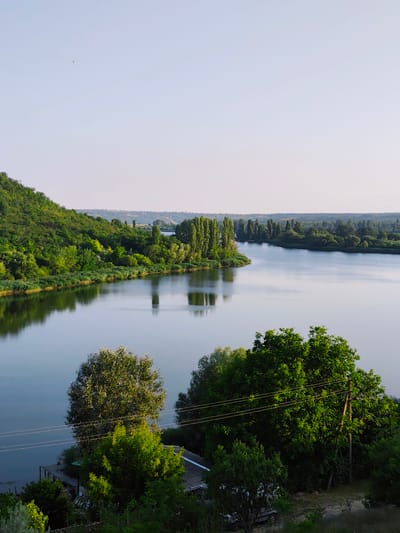 The image depicts a serene riverside scene in Goyany, Moldova. A wide, calm river dominates the foreground and midground, reflecting the lush green trees and the clear sky. The left bank of the river is characterized by a verdant, tree-covered hill that slopes down towards the water. On the right side, the river curves gently, bordered by a dense line of trees, including tall, slender poplars. In the foreground, on the right side of the frame, a few trees with bright green foliage are visible, casting shadows on a small structure with a white roof. Utility poles and wires are also present, stretching across the scene, hinting at human presence near the natural landscape. The sky is a pale blue, with a faint gradient towards lighter hues at the horizon, suggesting it might be early morning or late afternoon. There are no visible people or animals in the image. The overall atmosphere is one of tranquility and natural beauty.