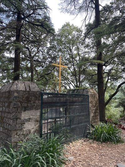A photograph depicts a religious monument in Dharamkot, India. A stone structure is topped with a black metal cage. Above the cage, a gold-colored cross is affixed. The surrounding environment includes dense trees and foliage, creating a shaded atmosphere. The ground is covered with leaves.