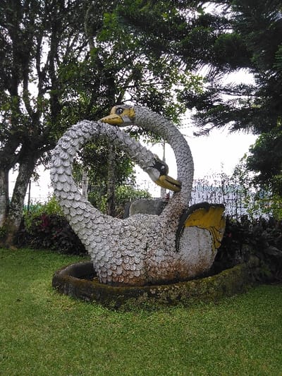 This image captures a static outdoor scene in Nathene, Laos, featuring a weathered concrete sculpture of two swan-like birds with intertwined necks forming a heart shape. The birds' bodies and necks are textured to resemble feathers, primarily grey, with yellow beaks accented in black. One visible wing section is also painted yellow. The sculpture rests on a low, circular, moss-covered concrete base situated on a well-maintained green lawn. In the background, diverse foliage includes a large broadleaf tree on the left and a dense coniferous tree on the right, both under an overcast sky. A metal fence is partially visible behind the sculpture amidst darker shrubs. No individuals or active subjects are present.
