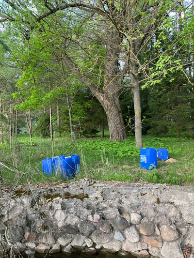 The image presents an outdoor scene, likely near a rural or wooded area in Пятница, Russia. The primary focus is on the juxtaposition of natural elements and man-made objects.
**Objects:** Two blue plastic containers, one with a separate lid placed on top, are visible. The containers are situated near a tree trunk and what appears to be a stone or concrete structure, possibly part of a bridge or retaining wall.
**Environment:** The environment includes trees with fresh green leaves, suggesting spring or early summer. There's green grass and other vegetation covering the ground, which is also a slight incline on the hill. The background shows a dense forest.
**Description of Location:** The presence of the stone structure indicates proximity to a water feature like a stream or river. The area has abundant tree cover and is overgrown with vegetation, indicating a natural or semi-natural setting.
Without additional context or a broader view, it's not possible to describe any people or interactions that occurred within the frame before or after the image was captured. The photograph is a static depiction of a place and objects.