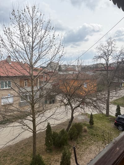 The image depicts an elevated view of a residential street in Cherven Bryag, Bulgaria, under an overcast sky, indicative of late winter or early spring. In the immediate foreground, a dark wooden balcony railing with a metal support rod is visible on the lower right.

The midground features a paved asphalt road curving from the lower-left towards the upper-right. Adjacent to the road on the right is an unkempt grassy area with patches of brown and green vegetation. Numerous deciduous trees, all bare of leaves, dominate the scene. A tall, slender tree with numerous seed pods is prominent in the center-left, with a smaller, gnarled bare tree to its right. A larger, mature bare tree stands further right. Several evergreen bushes and small conifers are planted along the grassy verge. A dark-colored SUV, possibly a Mercedes-Benz, is parked facing right on the grassy area or shoulder on the far right. A light-colored, amorphous object is partially obscured by foliage in the grassy area.

In the background, residential buildings with red-tiled roofs are visible. The structure directly across the street on the left is a multi-story building with a light-toned facade, featuring multiple rectangular windows, some with horizontal blinds, and a recessed balcony area. A blue sign is affixed to the building's left side. Beyond these immediate structures, additional buildings of varying heights and styles extend towards the horizon under a heavily clouded sky. No individuals are present in the depicted scene.