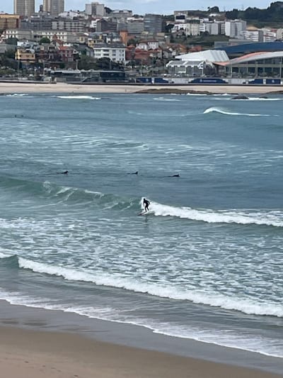 The image captures a dynamic coastal scene in A Coruña, Spain, oriented sideways but depicting a wide stretch of ocean, beach, and city. In the foreground and mid-ground, the Atlantic Ocean is a central feature, characterized by its blue-grey hues and several lines of white-capped waves breaking towards the shore.
The primary activity is surfing. One surfer, clad in a dark wetsuit, is prominently featured actively riding a breaking wave, creating a white spray of water behind them. Further out in the water, at least two other dark figures, presumed to be surfers on their boards, are visible, seemingly waiting for waves.
To the left side of the image (when correctly oriented), a bustling city skyline rises from behind a narrow strip of sandy beach. The city features a mix of buildings, varying in height and architectural style, suggesting both modern developments and older structures. Some green vegetation is interspersed among the buildings, adding a touch of nature to the urban landscape.
The time of day appears to be daytime, with soft, possibly overcast lighting, as there are no harsh shadows. The overall atmosphere is tranquil and leisurely, indicative of a typical beach day. No visible text is present in the image.