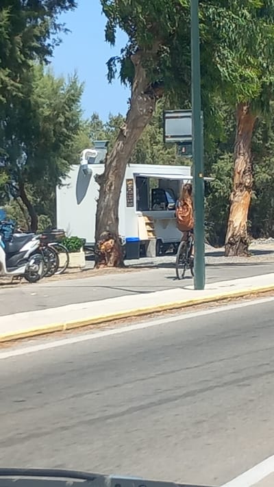A food truck is parked on the side of a street in Paradisi, Greece, with a person on a bicycle riding past it. The food truck is white with a serving window. A person with long brown hair and a backpack is on a bicycle to the right of the food truck. A white scooter is parked to the left of the food truck. Trees surround the food truck and scooter. The street is paved and there is a sidewalk with a yellow stripe.