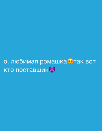 The image displays white Cyrillic text and two emojis against a uniform, solid blue background. The upper line of text reads "о, любимая ромашка" (Oh, favorite chamomile/daisy), immediately followed by a "smiling face with hearts" emoji. The lower line of text states "так вот КТО поставщик" (so this is WHO the supplier is), concluding with a "smiling face with horns" emoji. There are no discernible visual elements or geographical markers within the image content that indicate a specific physical location, including the city of Nikol'skii, Russia.
