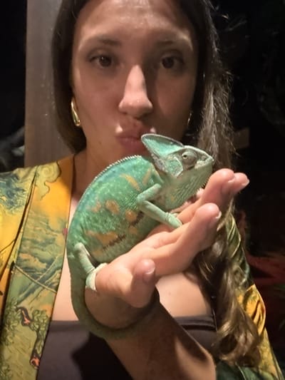 A person is holding a chameleon in their right hand. The person has long dark hair and is wearing a yellow and green patterned garment. The chameleon is green with brown spots. The location is unknown and there is no indication it is Ungasan, Indonesia.