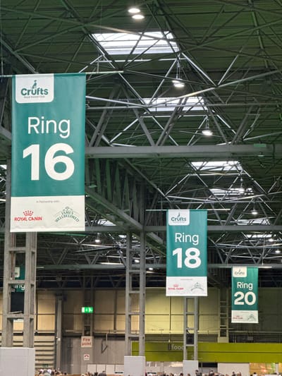 The scene depicts the interior of a large exhibition hall within the National Exhibition Centre (NEC) in the Metropolitan Borough of Solihull, United Kingdom. The high ceiling features a complex green-painted metal truss structure with integrated skylights and multiple suspended circular industrial light fixtures. Three vertical banners hang from the ceiling, indicating event areas for the Crufts Royal Kennel Club dog show. The leftmost banner displays "Ring 16", the central banner displays "Ring 18", and the rightmost banner displays "Ring 20". All three banners include "Royal Canin" and "James Wellbeloved" sponsorship logos. Large, light-colored square support columns extend from the floor to the ceiling structure. In the mid-ground, an emergency exit sign (green pictogram) and a "Fire point" sign are visible on a plain wall. The lower portion of the image shows a dense crowd of people, suggesting a public event is underway, with a partially visible "food" sign among them. No specific individual actions or interactions are discernible.