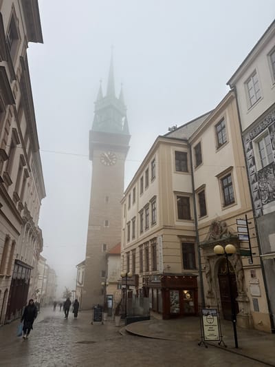 The image captures a pedestrianized cobbled street in Znojmo, Czechia, on a foggy day. Dominating the scene is the Znojmo Town Hall Tower, a tall, light-brown stone structure featuring a clock face displaying approximately 10:45. Its distinctive green, multi-tiered spire is partially obscured by the dense fog that pervades the environment, reducing visibility of distant elements.

On the immediate right, a multi-story, cream-colored building houses ground-floor businesses, including "KAFE U RADNICE," which has an outdoor seating area enclosed by glass partitions and decorated with string lights. Further along this building, a grand, arched entrance with intricate sculptural details and two spherical lamps is visible, surmounted by a monochromatic fresco depicting figures and patterns on the facade above. A street signpost with multiple blank arms stands near this entrance. The left side of the street is lined by another multi-story building with a pale facade. Overhead, thin dark wires stretch across the street.

The damp, cobblestone street shows signs of moisture. Approximately eight to ten individuals are visible walking. In the foreground on the left, a female dressed in a dark coat walks towards the viewer, carrying a light-colored shopping bag in her left hand. Other pedestrians, clad in dark winter clothing, are scattered further down the street, their forms increasingly blurred by the fog, moving primarily away from the viewer. No direct interactions between individuals are discernible.