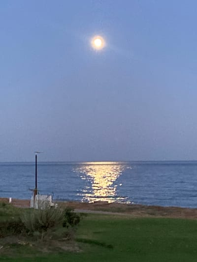This image captures a serene coastal scene at dusk or dawn, likely near Estepona, Spain. The sky is a soft gradient of pale blue, with the moon visible as a bright, circular orb high in the frame. A shimmering reflection of the moon stretches across the calm, blue water, creating a path of light that leads towards the shore. The coastline itself is dimly lit, showing a strip of sandy or rocky ground transitioning into a grassy foreground. A dark, slender pole stands on the left side of the frame, near a small, light-colored structure. The overall atmosphere is tranquil and peaceful.