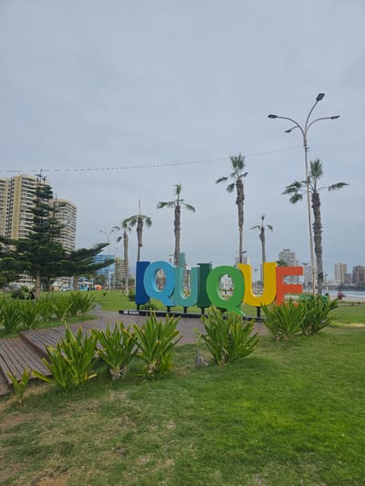 The image captures a vibrant public park or promenade in the coastal city of Iquique, Chile, under an overcast sky during daytime. The prominent subject is a large, colorful, three-dimensional sign spelling out "Iquique." The letters, from left to right, are painted in a sequence of bright hues: yellow, orange, red, green, light blue, and dark blue.

Behind the sign, several tall palm trees with green fronds punctuate the skyline. Beyond them, numerous modern, multi-story buildings line what appears to be a beachfront, with the ocean faintly visible in the far background. The foreground features a lush green lawn interspersed with manicured green shrubs. A wooden boardwalk or pathway runs alongside the grass and the base of the sign.

A distinctive streetlight with multiple curving arms and modern fixtures is visible high in the frame, positioned near some of the palm trees. The sky is bright but uniformly light gray, indicating a cloudy or overcast day.

The visible text includes the large "Iquique" on the sign itself. Additionally, a smaller black sign with white text "NO SUBIR" (Spanish for "Do Not Climb" or "Do Not Go Up") is attached to the dark blue 'e' of the "Iquique" sign. No specific human activity is clearly depicted, suggesting a tranquil moment in a popular public area. The scene conveys a well-maintained and inviting atmosphere.