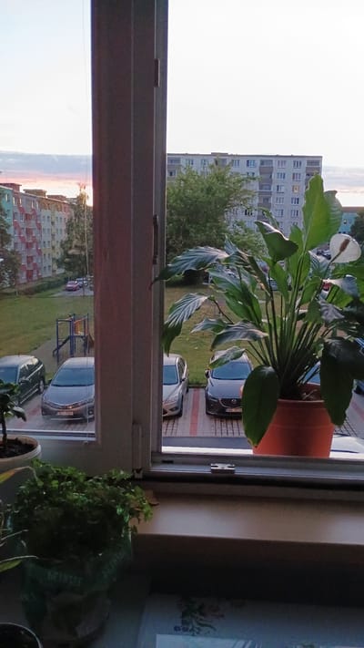 The image shows a view from a window overlooking a residential area in Sokolov, Czechia. In the foreground, on the windowsill, are several potted plants, including a large peace lily in an orange pot and a smaller leafy plant in a decorative pot. The window frame divides the view.
Outside the window, there are several cars parked in designated spots. A playground structure is visible in the middle ground, with grassy areas and apartment buildings in the background. The buildings are typical of a Soviet-era housing estate, with multi-story blocks painted in various colors. The sky shows a soft, diffused light, suggesting either sunrise or sunset. There are no people visible in the scene. The overall impression is a quiet, everyday urban landscape.