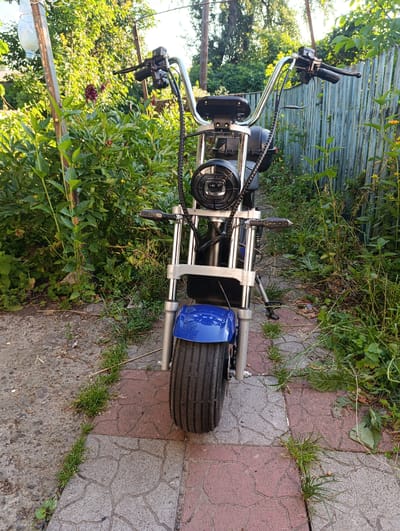 A blue electric scooter is parked on a paved surface outdoors. The scooter is positioned facing the camera, with its front wheel and handlebars prominently visible. The scooter has a round headlight, chrome handlebars, and black grips. A coiled black cable runs from the handlebars down the front of the scooter. The front fender is painted a vibrant blue.
The scooter is situated in a garden or backyard setting, with lush green foliage and plants surrounding it. A weathered wooden fence runs along the right side of the frame, and a metal pole with a plastic bottle hanging from it stands to the left. The ground is a mix of concrete and interlocking pavers, with grass growing in the cracks.
The lighting suggests it is daytime, likely late afternoon, with sunlight filtering through the trees and casting shadows. The overall atmosphere is peaceful and serene, indicating the scooter is at rest in a private outdoor space. No people are visible in the image. No text is legible in the image.