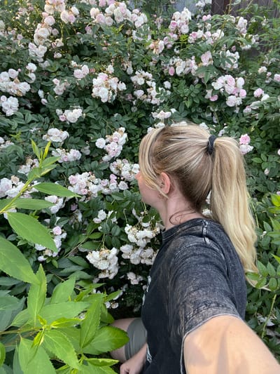 In Knevichi, Russia, a young woman with blonde hair pulled into a high ponytail stands next to a dense bush laden with small, white and pink roses. She is wearing a dark, acid-washed t-shirt and olive-green shorts. Her head is tilted, and she appears to be looking at or smelling the roses. The background is filled with the abundant blooms and dark green foliage of the rose bush. The lighting suggests it is either early morning or late afternoon, casting a soft glow on the scene.