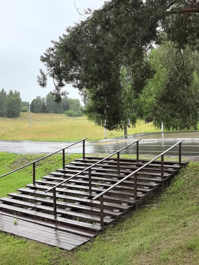 The image shows an outdoor scene in the area of Пашкаўскі сельскі Савет, Belarus. In the foreground, there is a wooden staircase with metal railings, wet from the rain. The stairs are constructed with horizontal wooden planks, and the surrounding area is covered in green grass. Beyond the stairs, a wet asphalt road is visible, with yellow markings on it. In the background, there is a field with dry grass and a line of trees. The sky is overcast and appears to be raining or has recently rained, as evidenced by the wet surfaces. A large pine tree branch hangs over the top of the scene.