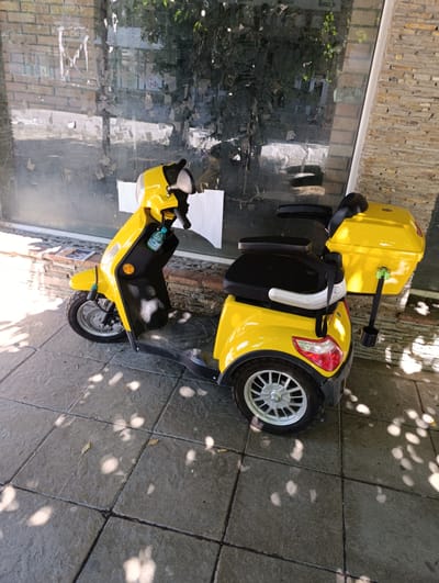 An electric scooter, primarily yellow with black accents and a yellow storage box on the rear, is parked on a tiled patio. The scooter has three wheels, a front wheel and two rear wheels, with a single seat and handlebars. A partially obscured plastic bottle is visible in a compartment on the front of the scooter. The background consists of a glass storefront with reflections of trees and buildings, and a brick and stone facade. The scene is lit by sunlight, casting shadows from the foliage onto the patio. The location is the city of Razgrad, Bulgaria.