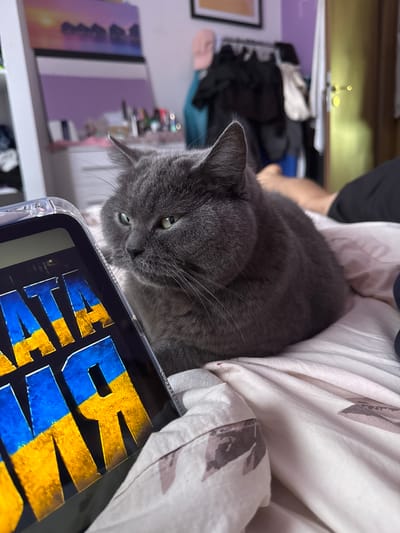 A medium shot captures a grey cat with green eyes lying on a bed, its body curled and facing left. The cat is positioned in the foreground, with its head and upper body in focus. Beside the cat, a tablet is propped up, displaying text with blue and yellow coloring, resembling the Ukrainian flag. The background is slightly blurred, showing a room with a shelf containing bottles and a closet with clothes. A piece of artwork with purple and sunset colors is visible on the wall. The bedspread has a floral pattern. There is no indication of the city of Sopot, Bulgaria, or any other specific location.