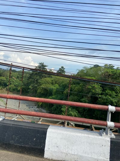 The image shows a view from a bridge in Purwakarta, Indonesia (latitude: -6.562, longitude: 107.434). There are numerous power lines stretching across the frame, obstructing the view of a river flowing beneath the bridge. The bridge is made of concrete and has a black and white painted edge. The riverbed is visible, with some rocks and debris scattered throughout. The river is bordered by dense, lush green foliage, creating a verdant landscape. The sky is a clear blue with a few white clouds. There are no people or objects in the image. The scene is calm and peaceful, showcasing the natural beauty of the area.