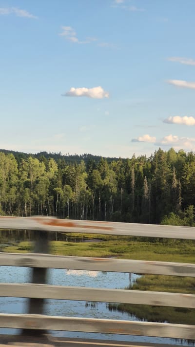 The image shows a serene landscape with a clear blue sky dotted with scattered white clouds. A dense forest of green trees stretches across the horizon. In the foreground, a body of water reflects the sky and trees. Horizontal metal railings, showing signs of rust, are positioned in the lower part of the frame, suggesting the viewpoint is from a bridge or elevated structure. The scene appears to be a natural setting, possibly a lake or marshland adjacent to a forested area, in or near Hærland, Norway. There are no people or animals visible in the image.