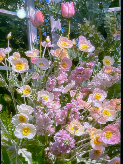 This is a close-up, vertically oriented, medium-angle shot of a floral arrangement featuring numerous pink and white flowers with yellow centers, as well as some delicate green foliage. The flowers appear to be a mix of poppies and tulips, with some stock flowers also visible. The arrangement is set against a background of green leaves and a hint of a blue sky, suggesting an outdoor setting. A white trellis or fence is partially visible on the left side of the image. There are no people or animals present, and no discernable actions are taking place. The lighting suggests it is daytime, with some soft highlights on the petals. The image is of a floral display, possibly in a garden or at an event. There is no indication of this scene being located in Cadek, Indonesia.