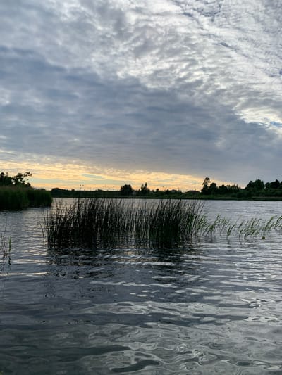 The image depicts a serene lake scene with a cloudy sky and reeds in the foreground. The water is calm, with ripples reflecting the overcast sky. Tall, dark green reeds dominate the middle ground, emerging from the water in dense clusters. The background features a treeline with scattered houses and a tree on the horizon. The sky is filled with a mix of dark gray and lighter gray clouds, with streaks of pale orange and yellow visible near the horizon, suggesting either sunrise or sunset. The overall impression is one of natural tranquility. This scene is located in the city of Chernovo, Russia.