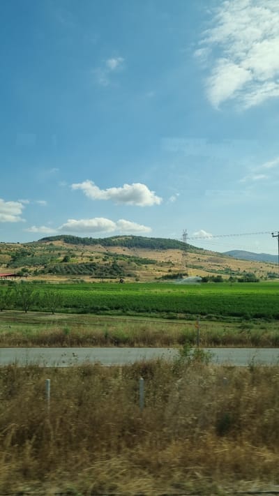 A wide-angle, medium-shot, horizontal, outdoor photograph captures a rural landscape under a bright, partly cloudy blue sky. The scene depicts a rolling hillside covered in dry, yellow-brown vegetation and scattered green trees. A prominent power line pylon stands on the right side of the hill, with power lines extending across the frame. Below the hill, a vibrant green field of crops stretches across the midground, with a sprinkler system actively irrigating a section of it. A grey asphalt road runs horizontally in the foreground, bordered by dry, brown grass and sparse vegetation, with two thin, vertical white posts visible in the dry grass. In the distance, beyond the hill, a faint haze suggests the presence of more land. A building with a red roof is partially visible on the far left, nestled at the base of the hill. The overall impression is one of a sunny, agricultural region.