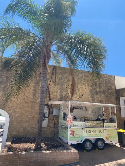 A mobile fruit stand, branded "FREKSITOS Fruta 100% Natural," is parked in front of a rustic stone wall, likely in the historic center of Conil de la Frontera, Spain. The stand, a white trailer with a white awning, displays an array of fruit-based products, including "Fresas con chocolate" (strawberries with chocolate) and "Vasos de fruta" (fruit cups). A tall palm tree with green fronds extends from the left side of the frame, casting shadows across the scene. The sky above is a clear, bright blue. The ground around the stand is paved, with a brick planter box in the foreground. The stand is equipped with a refrigerator display case filled with colorful frozen desserts. The overall impression is of a sunny, vibrant outdoor setting, typical of a Spanish coastal town.