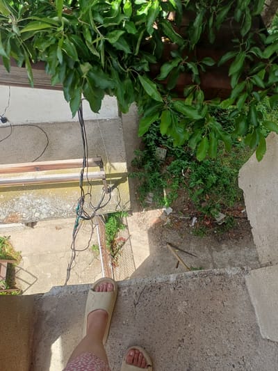 The image captures an outdoor scene from a top-down perspective, likely taken from a person standing on a concrete step looking down. The setting appears to be a backyard or property entrance in Bregovo, Bulgaria, characterized by a mix of natural elements and human structures.
On the left side of the frame, dense, vibrant green foliage from a bush or tree dominates, obscuring parts of the background. Towards the center and right, rough concrete surfaces, resembling steps and ground, create the primary walking areas. The ground between the concrete structures is overgrown with green weeds and patches of dirt, interspersed with small pieces of debris like broken concrete or bricks.
A notable feature is a cluster of black and green electrical or communication wires that are strung haphazardly across the scene, draped over concrete and a wooden beam, some appearing to be tied together. A metal latch mechanism is visible on the wooden beam.
In the bottom right corner, a person's bare foot, adorned with a light-colored, ridged sandal, is visible. Part of the person's leg, wearing a garment with a white dotted pattern on a reddish or pink background, can also be seen. The person appears to be standing on a concrete surface.
The scene is brightly lit by strong daylight, casting clear shadows, indicating it is daytime. A small section of a wire mesh fence is discernible in the mid-ground. No specific activity is depicted other than the person's presence looking downwards. There is no visible text in the image.