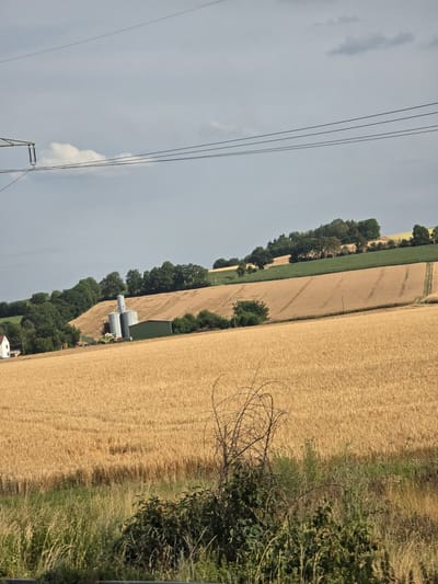 The image depicts a rural landscape in Lindenholzhausen, Germany, characterized by rolling hills and agricultural fields. The foreground features a field of golden wheat, with some overgrown grass and bushes along the bottom edge. In the mid-ground, more wheat fields are visible, interspersed with rows of trees and a green field of crops. A white building with a red roof is situated on the left side of the mid-ground. A large industrial silo and a green agricultural building are also present, with a tractor and a trailer nearby. In the background, a line of trees forms a dense forest on a hillside, with more fields stretching towards the horizon. Overhead, power lines traverse the sky, which is overcast with scattered clouds. The scene appears to be a bright, daytime shot, likely taken during the harvest season.