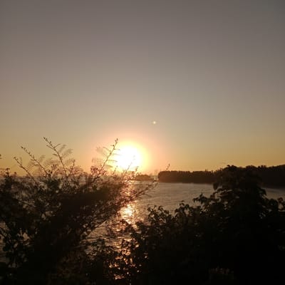 The image depicts a serene sunset scene by the water, presumably on the outskirts of Crakmong, Indonesia. Silhouetted trees and branches in the foreground partially obscure the view of a body of water, likely a bay or sea, where the sun is setting. The sun, a bright orb, is low on the horizon, casting a warm, golden glow across the water, creating a shimmering reflection. In the distance, a thin line of trees marks the shoreline, with the sky transitioning from a pale yellow near the horizon to a muted grey overhead. A small, pale orb, possibly the moon or a distant cloud, is visible in the upper right portion of the sky. The overall atmosphere is tranquil and natural, with no human presence or activity evident.