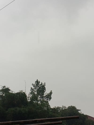 The image displays an outdoor scene in Welaluhu, East Timor, under an overcast sky. The upper two-thirds of the frame are filled with a uniform light grey sky, indicating cloudy weather or a day with diffused light. Below, a dense line of green trees dominates the lower portion of the image. A prominent conifer-like tree, with darker green foliage, stands near the center, slightly to the left, rising above the other broadleaf trees that form a continuous green canopy.

In the bottom foreground, several horizontal wooden beams or poles are partially visible, suggesting a fence, railing, or part of a structure. On the far right, peeking above the tree line, the red-orange roof and upper section of a building can be seen. There are no people visible, and no specific activities are taking place; the scene appears still and natural. The overall lighting is soft and consistent, characteristic of an overcast day. No visible text is present in the image.
