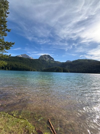 The image depicts a serene natural landscape on a clear day, likely in the morning or early afternoon, given the bright sunlight. The scene is dominated by a body of clear water, possibly a lake, that occupies the right half of the frame. The water's surface is rippled, reflecting the sunlight and revealing the rocky, pebbly bottom beneath.
To the left of the water, a steep, forested mountainside rises dramatically. The dense green of the pine trees covers the lower slopes, giving way to rocky, grey mountain peaks at higher elevations. The sky above is a vibrant blue, punctuated by wispy white clouds that stretch across the horizon.
In the foreground of the image, on the right side, a grassy bank with some scattered twigs and a piece of driftwood is visible at the edge of the water. On the left side, the tops of evergreen trees frame the bottom of the image.
The overall impression is one of tranquility and natural beauty. The untouched scenery suggests a remote or wilderness location. The crisp air and clear visibility indicate pleasant weather conditions. There is no discernible activity or event taking place; the image captures a peaceful moment in nature. No text is visible in the image. The location context provided is Pitomine, Montenegro.