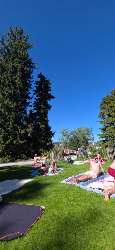 In Zurich, Switzerland, a group of people are sunbathing on a grassy area, likely a park, on a clear, sunny day. Several individuals are lying on blankets, some wearing swimwear, and appear relaxed. The scene is set against a backdrop of lush green trees and a bright blue sky. The perspective suggests the photo was taken from a low angle, looking upwards. The presence of other people in the distance suggests a public gathering space.