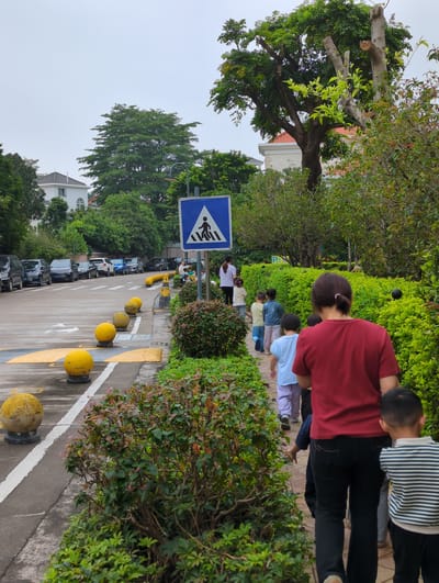 A low-angle, medium shot shows a paved street in the Shunde District of China. The street, bordered by a pedestrian walkway, is defined by yellow lines and punctuated by yellow spherical bollards. Parked cars line the opposite side of the street, obscured by trees. A blue pedestrian crossing sign stands next to the walkway. A group of children and at least one adult walk on the walkway, next to the shrubs. They appear to be walking across the crosswalk. The sky is overcast.