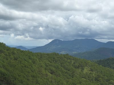 The image depicts a panoramic view of a heavily forested mountain range under a cloudy sky. In the foreground, a steep slope is covered with dense green pine trees, their dark green needles creating a textured surface that follows the contours of the land. The trees extend to the right edge of the frame and disappear down the slope towards the bottom. In the midground, further mountain ridges recede into the distance, also covered in vegetation, but appearing in shades of blue and green due to atmospheric perspective. The farthest mountains are softly defined silhouettes against the sky. The sky is dominated by a thick layer of grey and white clouds, with some brighter patches suggesting sunlight breaking through in places. The overall impression is of a vast, natural landscape characterized by rolling hills and a verdant, possibly tropical or subtropical, environment. The location is identified as Xuân Thành, Vietnam, suggesting a rural or mountainous area within that region. There are no people or man-made structures visible in this particular frame, emphasizing the natural and remote aspect of the scene.