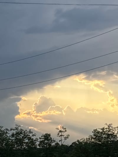 The image shows a cloudy sky with what appears to be electrical wires running across the left side. The sky is split into two distinct areas: a darker, grey area on the left and a brighter, yellow-tinted area on the right, suggesting the presence of sunlight. The right side also features some vegetation, possibly trees, visible against the sky. The location is Pchelnik, Bulgaria.
