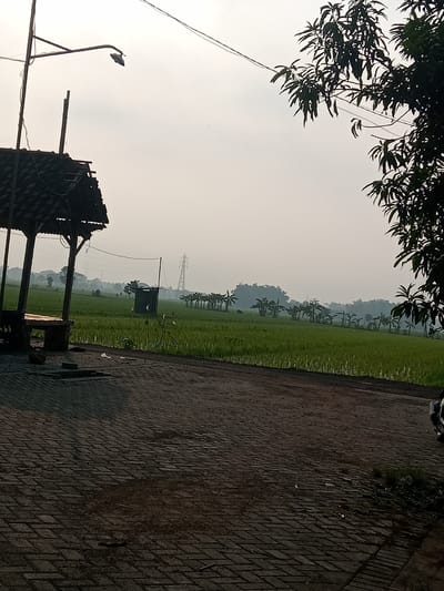The image shows a rural scene near Bungur, Indonesia. A small, open-sided shelter with a tiled roof stands to the left. A road paved with dark bricks runs across the foreground. Beyond the road is a green rice paddy field with a line of banana trees and other vegetation in the distance. An electrical transmission tower is visible in the background. Power lines stretch across the sky. A large tree with dark foliage is on the right side of the frame, partially obscuring the view. The sky is overcast and hazy.