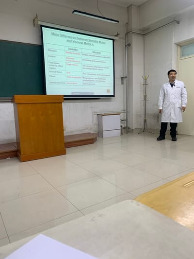 A white screen displays a table outlining the main differences between somatic and visceral motor functions. Somatic effectors are skeletal muscles, controlled voluntarily with a single neuron. Visceral effectors include cardiac, smooth muscles, and glands, controlled involuntarily with two neurons. Somatic fibers are thick myelinated, distributed as nerve trunks. Visceral fibers involve a thin myelinated preganglionic neuron and an unmyelinated postganglionic neuron, distributed as nerve plexuses. A man in a white coat stands to the side of the screen.