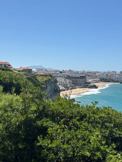 This is a photograph of the coastline in Biarritz, France, specifically overlooking the Grand Plage and the Hôtel du Palais. In the foreground, lush green foliage occupies the bottom half of the frame, with vibrant green leaves and branches obscuring some of the view. Behind the foliage, a steep, gray cliff face juts out, its layered geological structure visible. Several buildings with red-tiled roofs are nestled on top of the cliff, suggesting residential or hotel structures. Beyond the cliff, the expansive Grand Plage stretches out, a wide sandy beach dotted with numerous sunbathers. The turquoise water of the Atlantic Ocean laps against the shore, with white waves breaking. Further inland, a densely packed cityscape rises, characterized by buildings with white and light-colored facades, many with balconies. The iconic Hôtel du Palais stands prominently on the beachfront, its grand architecture clearly discernible. In the distance, hazy mountains form a backdrop against a clear, bright blue sky. The scene depicts a sunny day with a calm sea and a populated beach.
