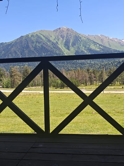 The image depicts a view from a wooden balcony or veranda, looking out at a mountain landscape. In the foreground, a dark wooden railing with an "X" pattern obscures part of the view. Beyond the railing, a grassy field stretches towards a line of coniferous trees. Further in the distance, a large mountain range dominates the scene, with green forested slopes and patches of snow on its upper reaches. The sky is a clear, bright blue. The overall scene suggests a natural setting, likely in a mountainous region. The presence of wooden structures and the open field implies a rural or recreational area. The style of the railing and the wooden floor suggests a relatively rustic or traditional construction.