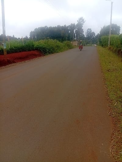 A paved road stretches into the distance under a cloudy sky. A motorcyclist, wearing a helmet and light-colored clothing, drives toward the viewer. Lush greenery and trees line both sides of the road. A utility pole stands on the left, with power lines overhead. A lamp post is visible further down the road on the right. A strip of red soil borders the vegetation on the left.