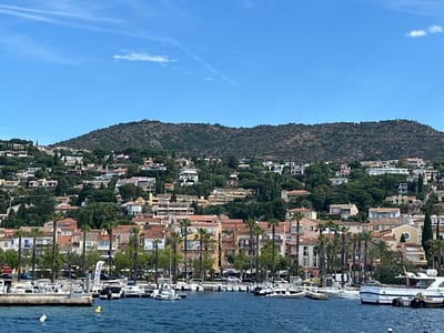 The image shows a panoramic view of the waterfront in Le Lavandou, France. The scene is dominated by a hillside covered with numerous buildings, ranging from small houses to larger apartment complexes, nestled amongst lush greenery and tall trees. In the foreground, a calm blue body of water is filled with various boats, including sailboats, motorboats, and yachts, docked at a marina. Palm trees and other vegetation line the waterfront, separating the boats from the buildings behind. The sky is clear and blue, with a few wispy clouds. The architecture of the buildings suggests a Mediterranean style, with terracotta roofs and light-colored facades.