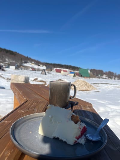 The image displays an outdoor scene in Virak, Montenegro, on a clear, sunny day with snow cover. In the immediate foreground, a slice of white-topped cake with a visible reddish underlayer rests on a dark grey ceramic plate. A small silver spoon is positioned on the plate. Behind the plate, a dark grey ceramic mug with a handle sits on a light brown wooden surface, likely a table or railing, exhibiting wood grain and minor scratches. The midground reveals an expansive snow-covered field. Scattered across this snowy landscape are various buildings, identifiable by their distinct roof colors, including red, green, and blue. A large pile of light-colored aggregate material, possibly sand or gravel, is visible on the snow to the right of the mug. A low, light-colored stone structure is partially visible to the left. The background features a clear, bright blue sky and a hillside covered with trees, displaying mostly bare branches or sparse brown foliage. No individuals are present.